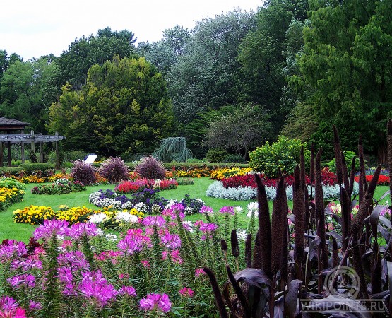 Парк Элизабет на wikipoints.ru