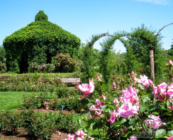 Парк Элизабет на wikipoints.ru