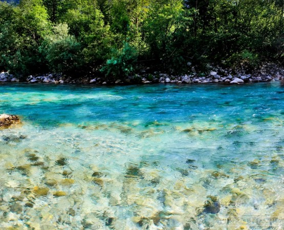 Река Соча на wikipoints.ru