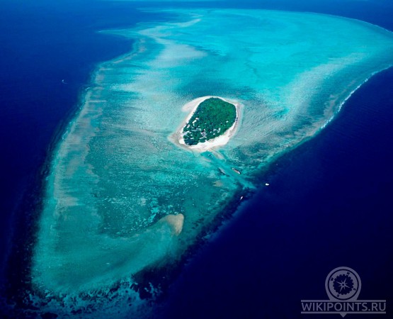 Большой Барьерный риф на wikipoints.ru