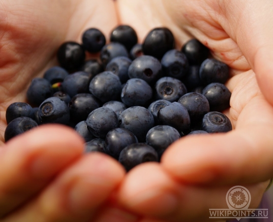 Мужской монастырь на острове Коневец на wikipoints.ru